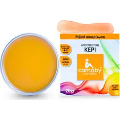 CARNABY ΖΕΣΤΟ ΚΕΡΙ  20G - Σώμα στο Villagepharmacy