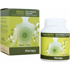 MASTIHATHERAPY CAPS FL x90 - Βότανα στο Villagepharmacy