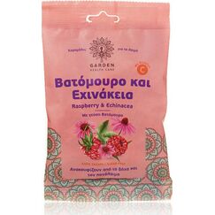GARDEN ΚΑΡΑΜΕΛΕΣ ΛΑΙΜΟΥ ΒΑΤΟΜΟΥΡΟ & ΕΧΙΝΑΚΕΙΑ - Καραμέλες στο Villagepharmacy